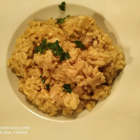 酒店 Alonso De Monroy Belvis de Monroy